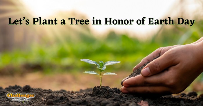 Plant a tree for earth day