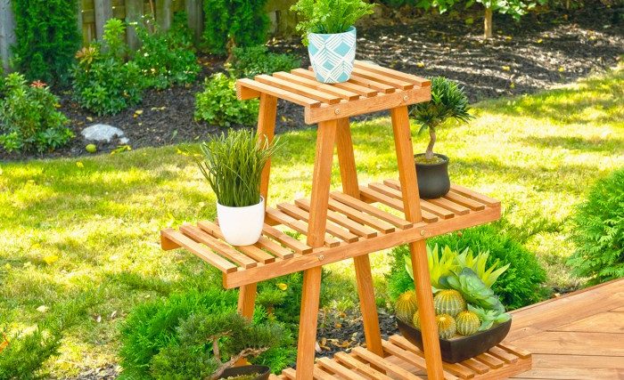 Tree branch plant stand