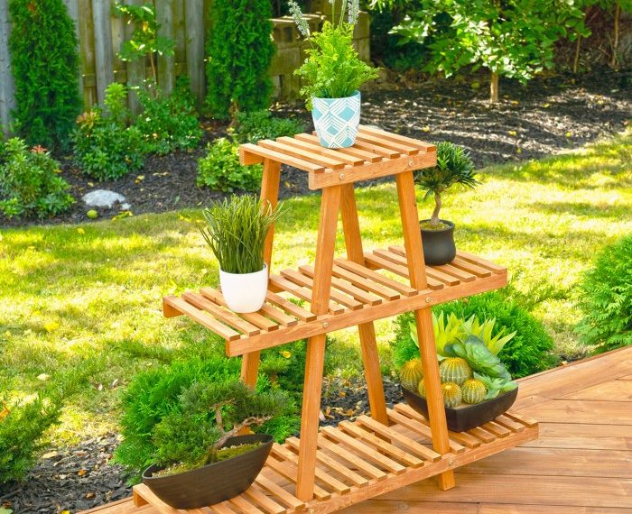 Tree branch plant stand