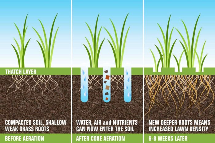 Best time to plant grass seed