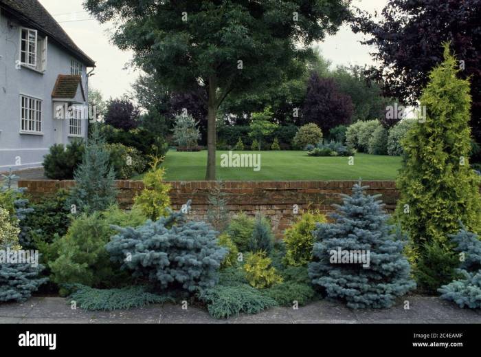 Bushes to plant under trees