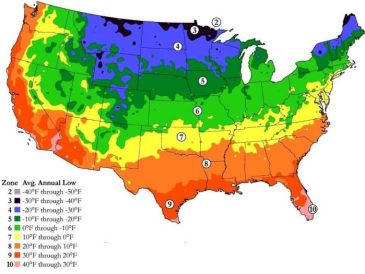 When to plant seed potatoes zone 9a