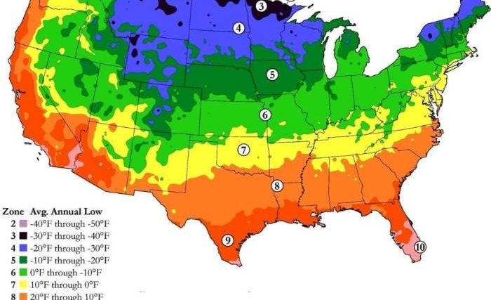 When to plant seed potatoes zone 9a