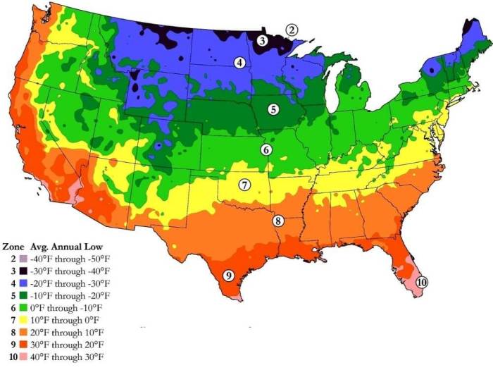 When to plant seed potatoes zone 9a