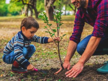 Planting tree trees plantation environment day only solution world benefits environmental ground