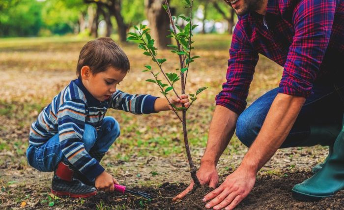 Planting tree trees plantation environment day only solution world benefits environmental ground