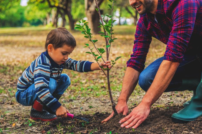 Planting tree trees plantation environment day only solution world benefits environmental ground