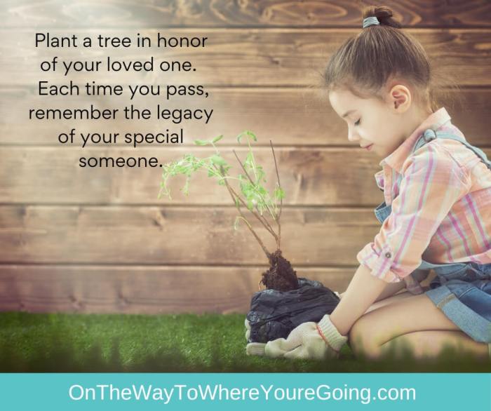 Plant trees in someone's name