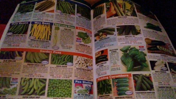 Burgess seed and plant co catalog