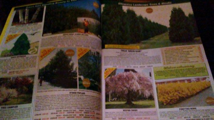 Burgess seed and plant co catalog